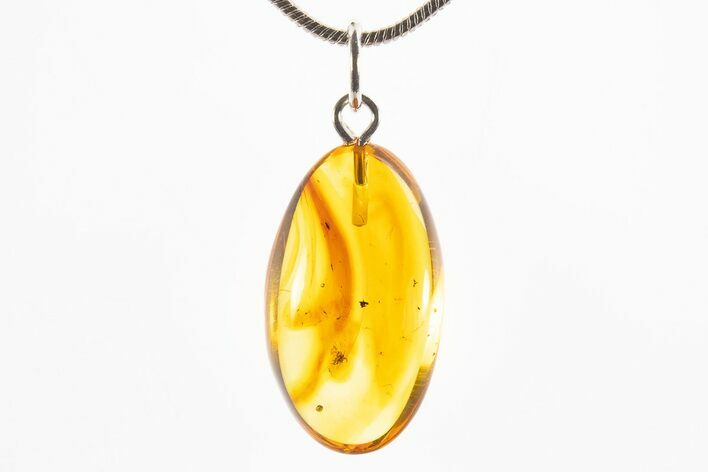 Polished Baltic Amber Pendant (Necklace) - Contains Insect! #312202